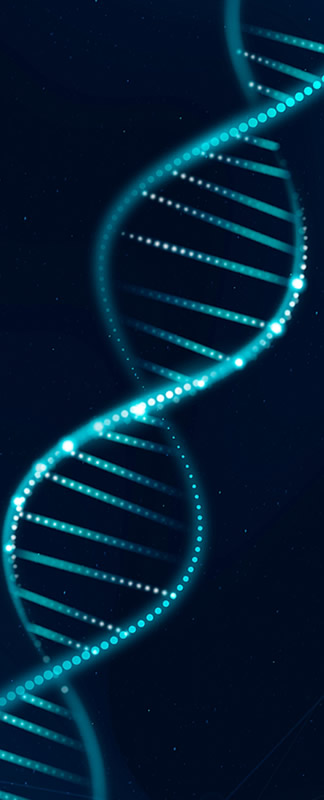 US⋅RIO Medicina e Diagnóstico